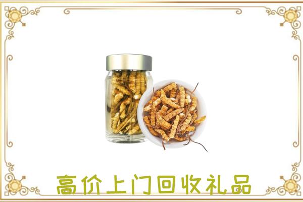 和龙周边回收虫草